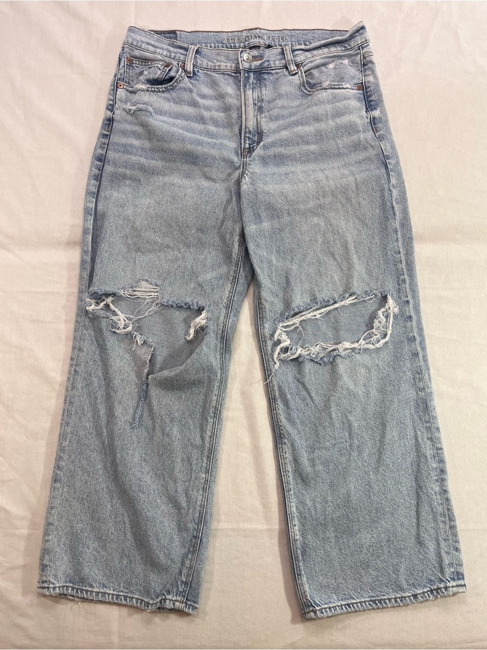 American Eagle Outfitters Light Blue Wide-Leg Distressed Jeans